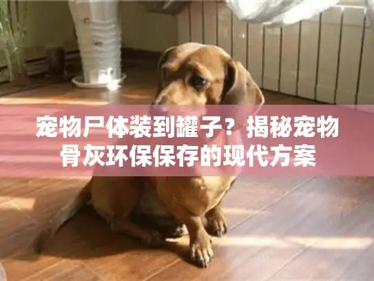 宠物尸体装到罐子?揭秘宠物骨灰环保保存的现代方案 宠物尸体装到罐子?揭秘宠物骨灰环保保存的现代方案