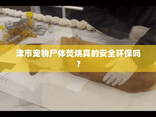 津市宠物尸体焚烧真的安全环保吗？