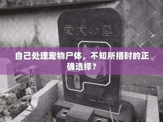 自己处理宠物尸体,不知所措时的正确选择? 自己处理宠物尸体,不知所措时的正确选择?