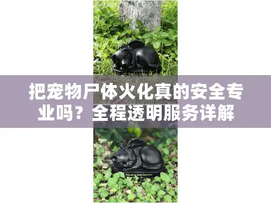 把宠物尸体火化真的安全专业吗?全程透明服务详解 把宠物尸体火化真的安全专业吗?全程透明服务详解