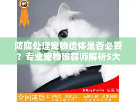 防腐处理宠物遗体是否必要？专业宠物殡葬师解析5大常见疑虑