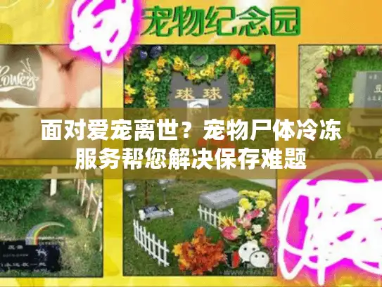 面对爱宠离世？宠物尸体冷冻服务帮您解决保存难题