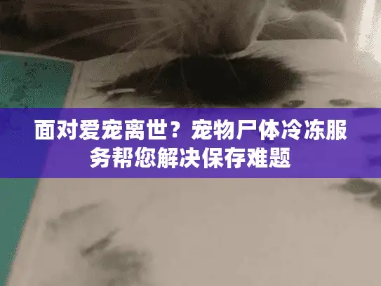面对爱宠离世？宠物尸体冷冻服务帮您解决保存难题