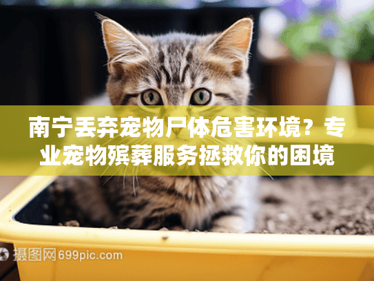 南宁丢弃宠物尸体危害环境？专业宠物殡葬服务拯救你的困境！