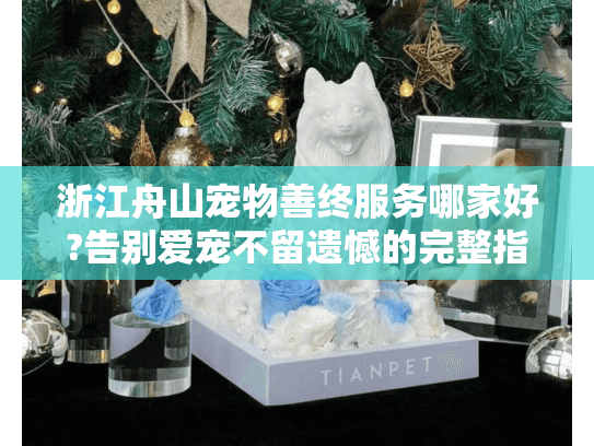 浙江舟山宠物善终服务哪家好?告别爱宠不留遗憾的完整指南