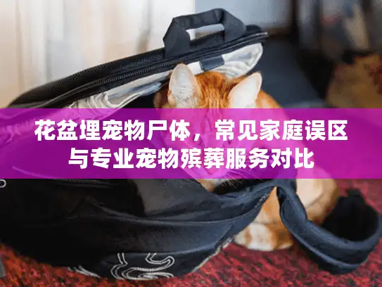 花盆埋宠物尸体,常见家庭误区与专业宠物殡葬服务对比 花盆埋宠物尸体,常见家庭误区与专业宠物殡葬服务对比