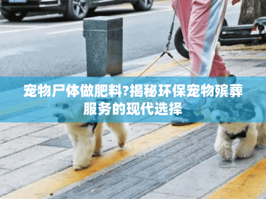 宠物尸体做肥料?揭秘环保宠物殡葬服务的现代选择