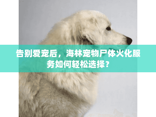 告别爱宠后，海林宠物尸体火化服务如何轻松选择？
