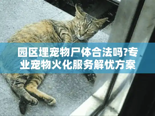 园区埋宠物尸体合法吗?专业宠物火化服务解忧方案 园区埋宠物尸体合法吗?专业宠物火化服务解忧方案