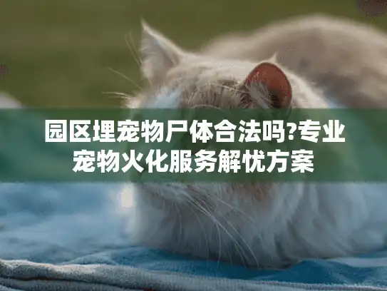 园区埋宠物尸体合法吗?专业宠物火化服务解忧方案 园区埋宠物尸体合法吗?专业宠物火化服务解忧方案