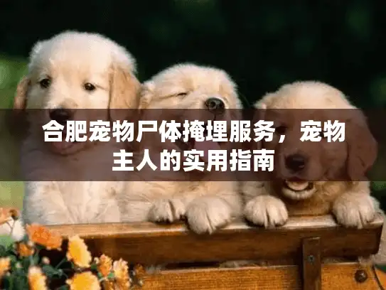 合肥宠物尸体掩埋服务,宠物主人的实用指南 合肥宠物尸体掩埋服务,宠物主人的实用指南