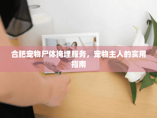 合肥宠物尸体掩埋服务,宠物主人的实用指南 合肥宠物尸体掩埋服务,宠物主人的实用指南