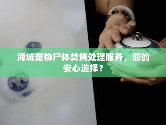 海城宠物尸体焚烧处理服务，您的安心选择？