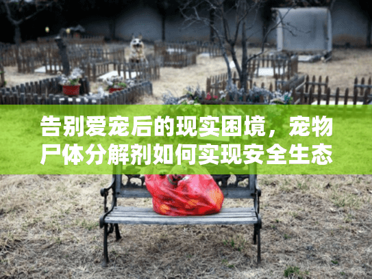 告别爱宠后的现实困境，宠物尸体分解剂如何实现安全生态处理？