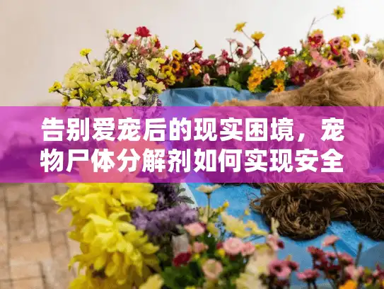 告别爱宠后的现实困境，宠物尸体分解剂如何实现安全生态处理？