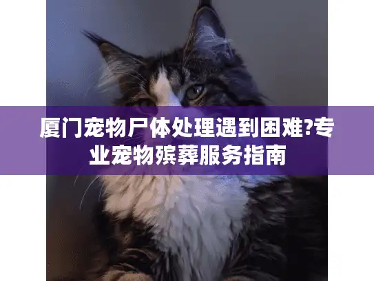 厦门宠物尸体处理遇到困难?专业宠物殡葬服务指南 厦门宠物尸体处理遇到困难?专业宠物殡葬服务指南