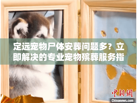 定远宠物尸体安葬问题多？立即解决的专业宠物殡葬服务指南