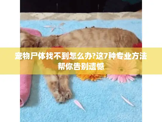 宠物尸体找不到怎么办?这7种专业方法帮你告别遗憾