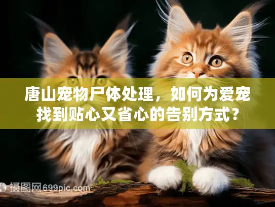 唐山宠物尸体处理，如何为爱宠找到贴心又省心的告别方式？