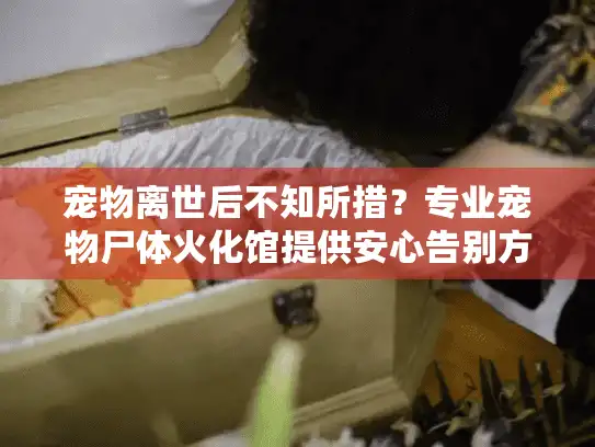 宠物离世后不知所措？专业宠物尸体火化馆提供安心告别方案