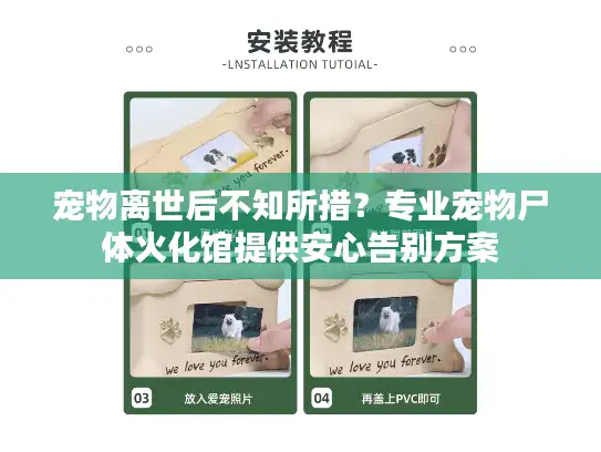 宠物离世后不知所措？专业宠物尸体火化馆提供安心告别方案