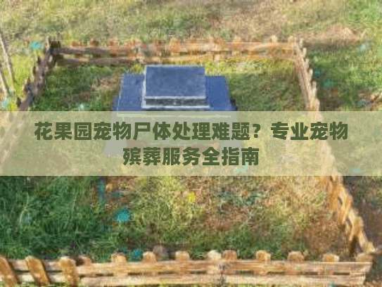 花果园宠物尸体处理难题？专业宠物殡葬服务全指南