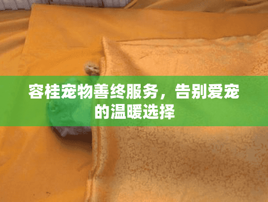 容桂宠物善终服务，告别爱宠的温暖选择