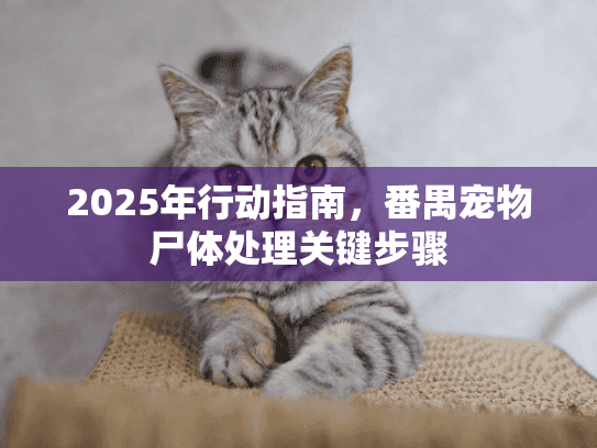 2025年行动指南,番禺宠物尸体处理关键步骤 2025年行动指南,番禺宠物尸体处理关键步骤