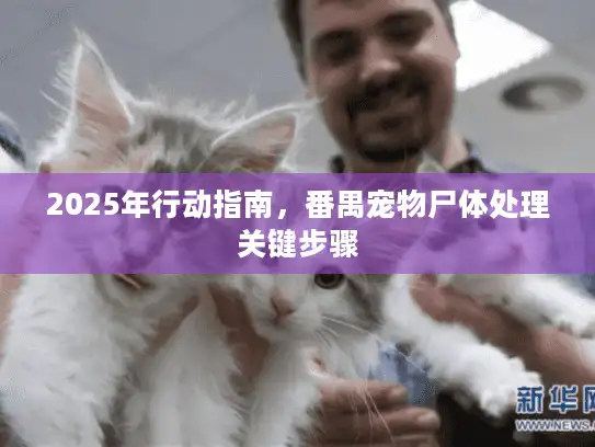 2025年行动指南,番禺宠物尸体处理关键步骤 2025年行动指南,番禺宠物尸体处理关键步骤