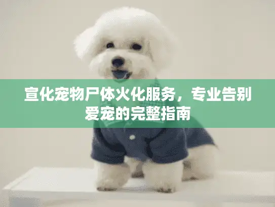 宣化宠物尸体火化服务，专业告别爱宠的完整指南