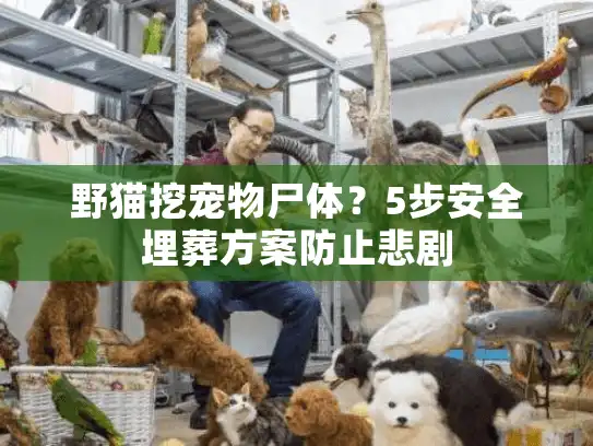 野猫挖宠物尸体?5步安全埋葬方案防止悲剧 野猫挖宠物尸体?5步安全埋葬方案防止悲剧