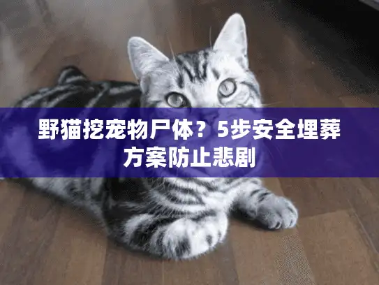 野猫挖宠物尸体?5步安全埋葬方案防止悲剧 野猫挖宠物尸体?5步安全埋葬方案防止悲剧