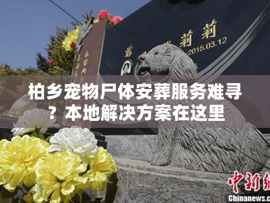 柏乡宠物尸体安葬服务难寻？本地解决方案在这里