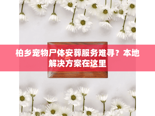 柏乡宠物尸体安葬服务难寻？本地解决方案在这里