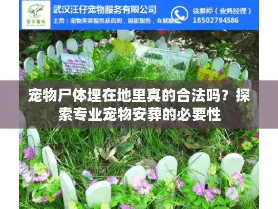 宠物尸体埋在地里真的合法吗？探索专业宠物安葬的必要性