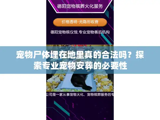 宠物尸体埋在地里真的合法吗？探索专业宠物安葬的必要性