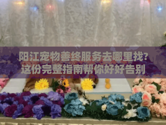 阳江宠物善终服务去哪里找?这份完整指南帮你好好告别