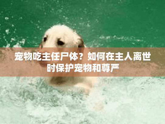 宠物吃主任尸体？如何在主人离世时保护宠物和尊严