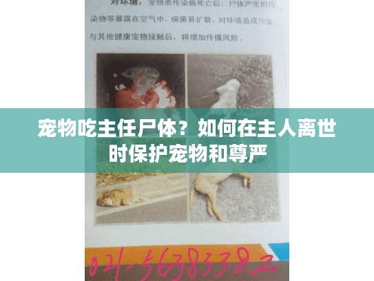 宠物吃主任尸体？如何在主人离世时保护宠物和尊严