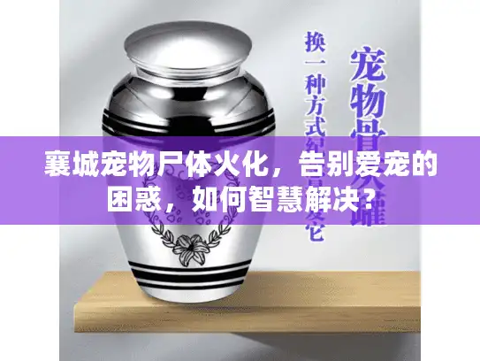 襄城宠物尸体火化，告别爱宠的困惑，如何智慧解决？