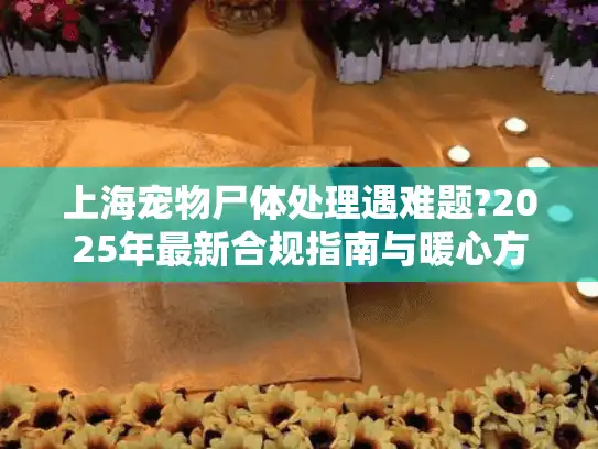 上海宠物尸体处理遇难题?2025年最新合规指南与暖心方案 上海宠物尸体处理遇难题?2025年最新合规指南与暖心方案