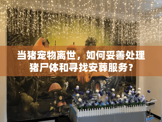 当猪宠物离世，如何妥善处理猪尸体和寻找安葬服务？