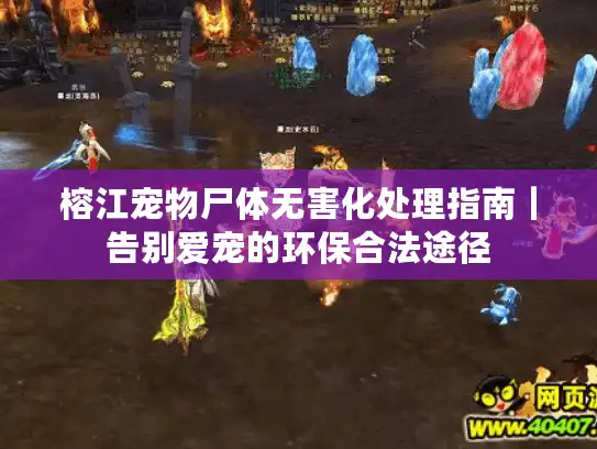 榕江宠物尸体无害化处理指南|告别爱宠的环保合法途径 榕江宠物尸体无害化处理指南|告别爱宠的环保合法途径