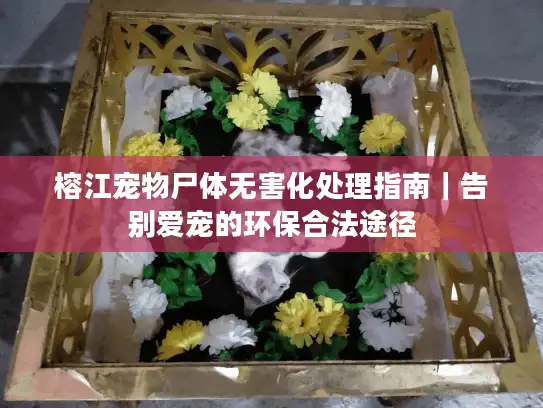 榕江宠物尸体无害化处理指南|告别爱宠的环保合法途径 榕江宠物尸体无害化处理指南|告别爱宠的环保合法途径