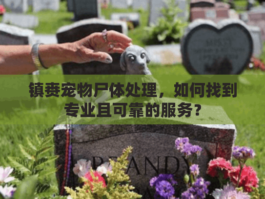 镇赉宠物尸体处理,如何找到专业且可靠的服务? 镇赉宠物尸体处理,如何找到专业且可靠的服务?