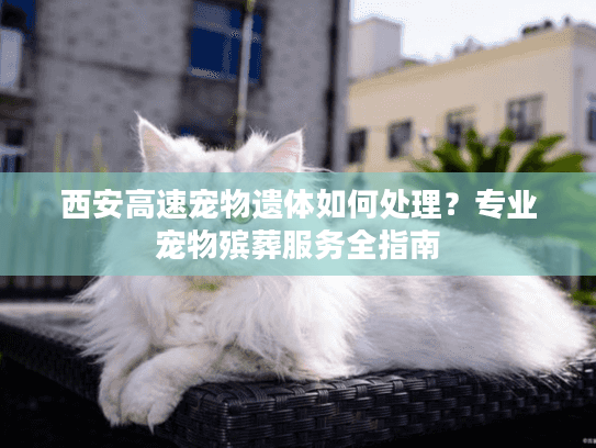 西安高速宠物遗体如何处理?专业宠物殡葬服务全指南 西安高速宠物遗体如何处理?专业宠物殡葬服务全指南