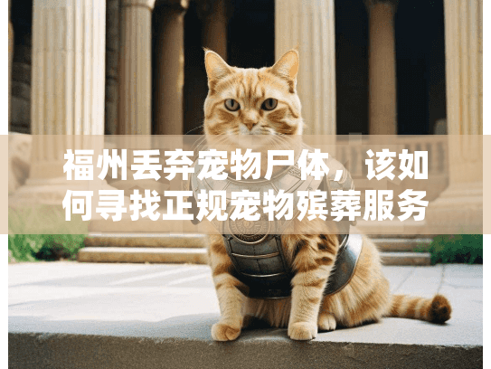 福州丢弃宠物尸体,该如何寻找正规宠物殡葬服务? 福州丢弃宠物尸体,该如何寻找正规宠物殡葬服务?
