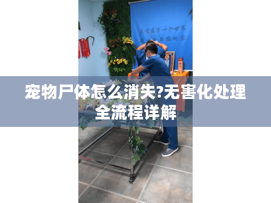 宠物尸体怎么消失?无害化处理全流程详解