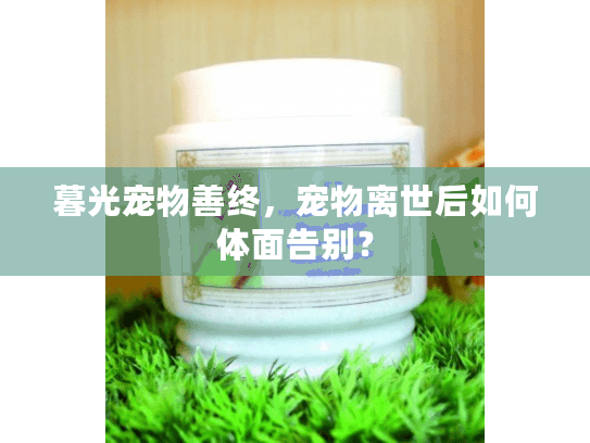 暮光宠物善终,宠物离世后如何体面告别? 暮光宠物善终,宠物离世后如何体面告别?