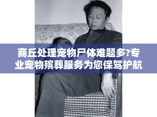 商丘处理宠物尸体难题多?专业宠物殡葬服务为您保驾护航! 商丘处理宠物尸体难题多?专业宠物殡葬服务为您保驾护航!